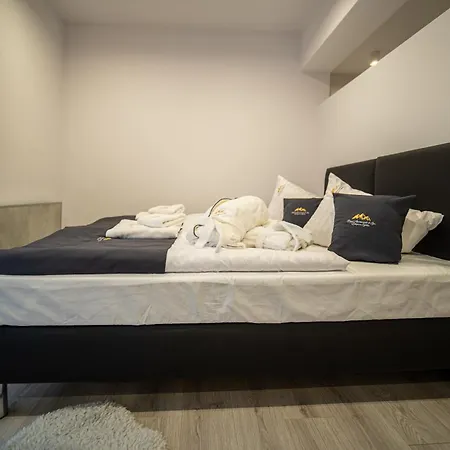 Royal & Zakopane-cyrhla Apartment *